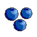 Blueberry
